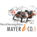 Mayer & Co. GmbH