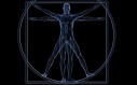 Logo Mege, Franz