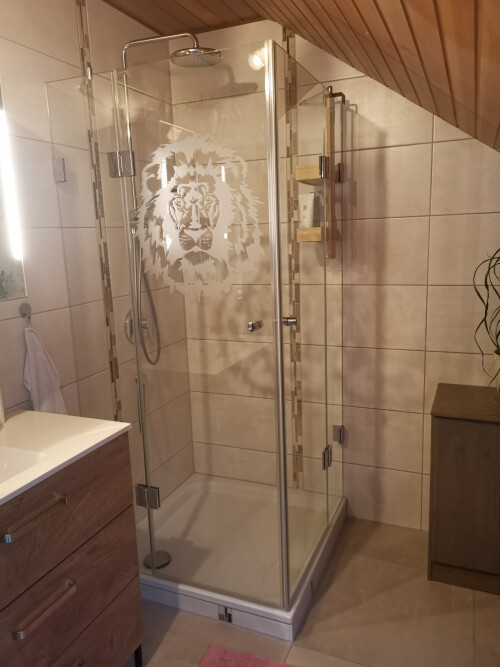 Ganzglas-Eckduschkabine mit Eckeinstieneg MGD Base Typ 209 mit individuellem Digitaldruck nach Dateivorgabe des Auftraggebers 20