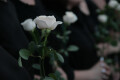 Bild: Memento Mori Bestatterinnen in Hamburg