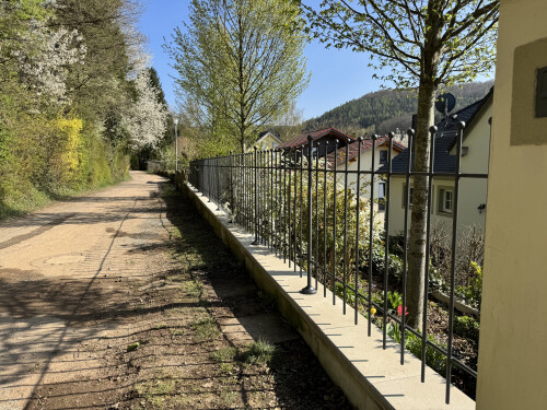 Zaunanlage-Aschaffenburg-DB703.JPG