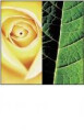 Logo Reibold, Michael