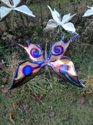 Titan-Windspiel-Schmetterling