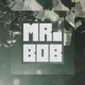 MR. BOB FILMS GmbH