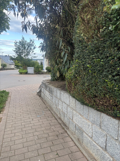 Gartenpflege