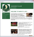 Logo Murphy's Law