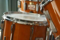Logo Musikschule mut - Musik und Tanz