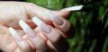 Frenchnails