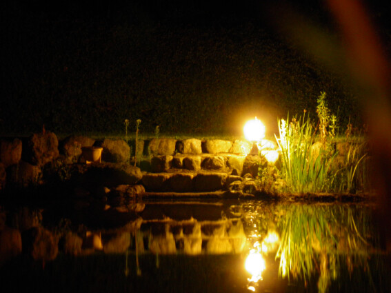 Teich bei Nacht