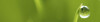 Bild: Naturheilpraxis Dymek