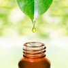 Bild: Naturheilpraxis Hong
