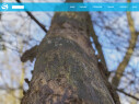 Bild: Naturheilpraxis Stötzer in Wiesbaden