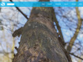 Bild: Naturheilpraxis Stötzer in Wiesbaden