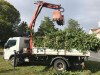 Bild: Netzel Gartenservice
