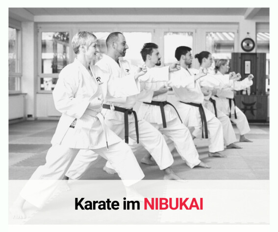Karate- Kampfkunst