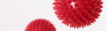 Logo Borchert, Nora