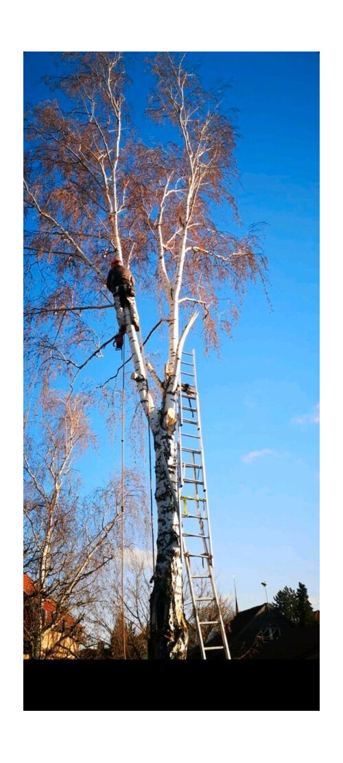 Nur wenn es sein muß Inh. Karsten Schütze