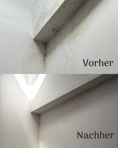 Schimmelbekämpfung vorher nachher.jpeg