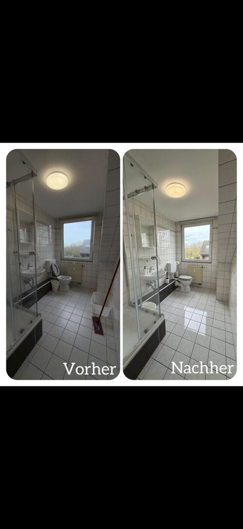 Badezimmer vorher nachher.png