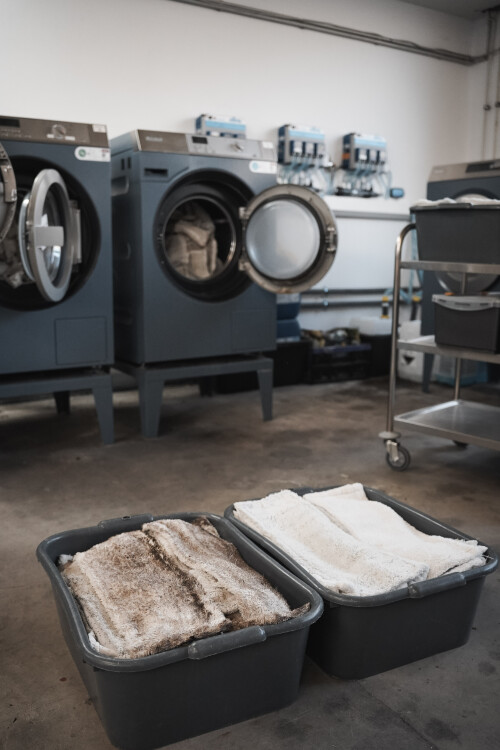 Wischbezüge vorher/nachher