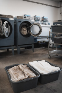 Wischbezüge vorher/nachher