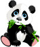 Bild: Panda-Hosting UG in Berlin