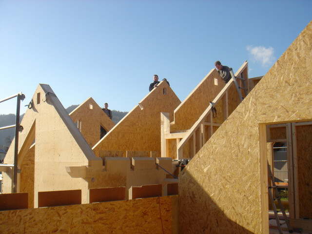 Holzhausbau