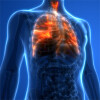 Bild: PD Dr.med. Norbert Börner Facharzt für Innere Medizin und Gastroenterologie
