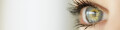 Logo Ziesmann Optik, Perdita