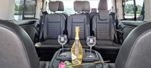 Personen Transfer Warnow - Ford Tourneo Business 2.jpeg