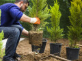 Bild: Peter Schulze Gartengestaltung in Hannover