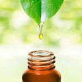 Petra Eberle Chakra Klinik