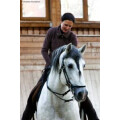 Pferdegesundheitstraining - Nadja Krumbiegel