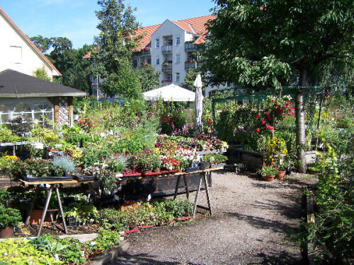 Pflanzen-Lux Dresden