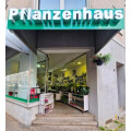 Pflanzenhaus - Blumen & mehr