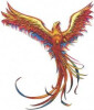 Bild: Phönix e.V.