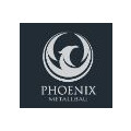 Phoenix Metallbau