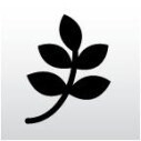 Logo Physiotherapie, Bruch Manuela
