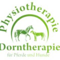 Physiotherapie für Hunde und Pferde Jochen Schönhöfer