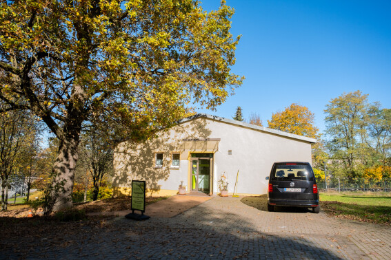 DSCF6133.jpg