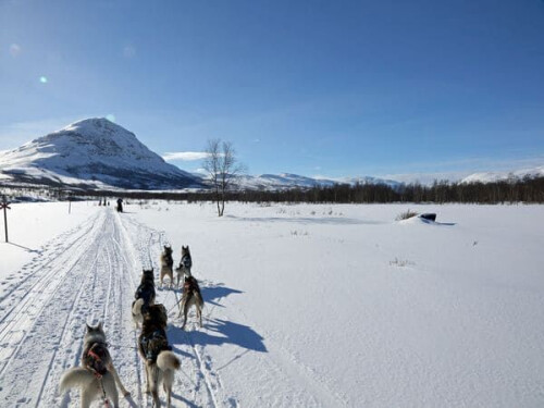 Hundeschlittentour in den Bergen