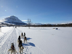 Hundeschlittentour in den Bergen