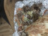 Bild: Pizzaria Döner-Kebap Haus in Oberhausen