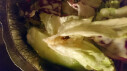 Bild: Pizzeria Paolo in Frankfurt am Main