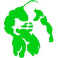 Logo PLATO Fitness Fabrik