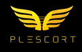 Bild: Plescort in Frankfurt am Main