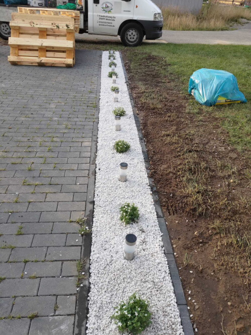 WhatsApp Image 2023-01-10 at 17.35.27.jpeg