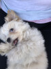 Bild: Polly's Futterstube & Hundesalon