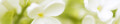 Logo Praxis für Ergotherapie Anke Thiele