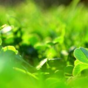 Herzlich Willkommen in meiner Praxis in Potsdam-Babelsberg